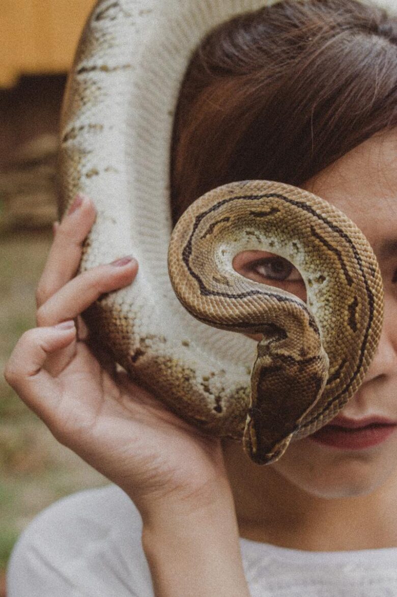 13 Spiritual Meanings of Snake Bite in a Dream Good or Bad?