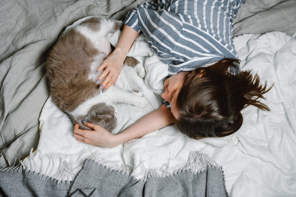 on your pillow