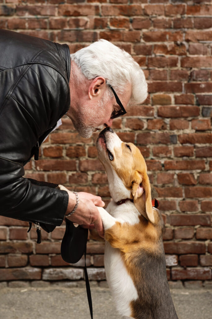 Dogs Barking At Night Spiritual Meaning Should I Worry?