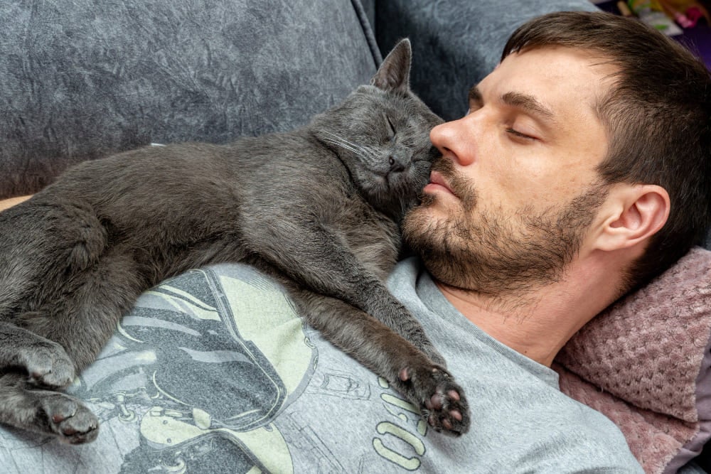 Cat Sleeping On My Chest