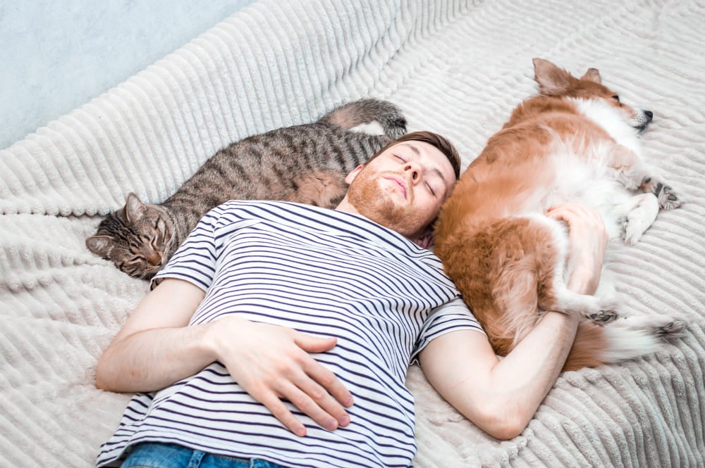cat sleeping with owner